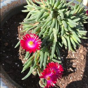 Meet your Posher, Cameron